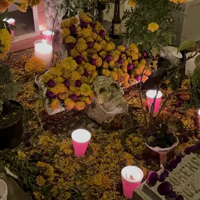 Day of the Dead 𝑺𝒑𝒆𝒄𝒊𝒂𝒍 𝑬𝒙𝒑𝒆𝒓𝒊𝒆𝒏𝒄𝒆 2026