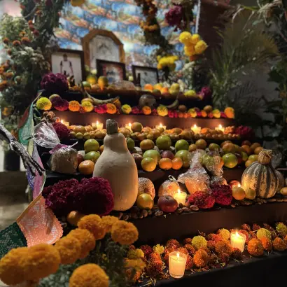 Day of the Dead 𝑺𝒑𝒆𝒄𝒊𝒂𝒍 𝑬𝒙𝒑𝒆𝒓𝒊𝒆𝒏𝒄𝒆 2026
