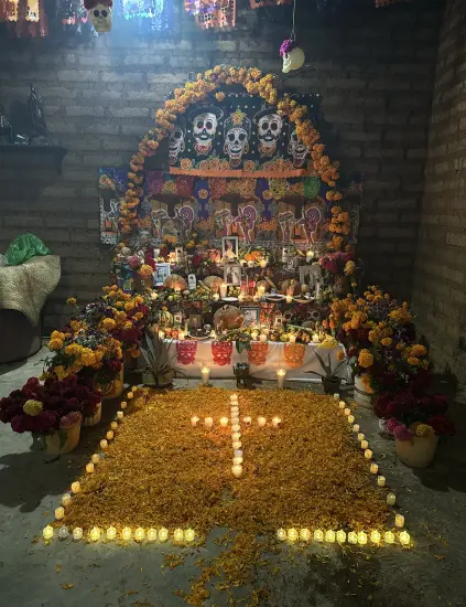 Day of the Dead 𝑺𝒑𝒆𝒄𝒊𝒂𝒍 𝑬𝒙𝒑𝒆𝒓𝒊𝒆𝒏𝒄𝒆 2026